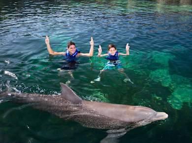 Gold Package Dolphin Trainer for a Day