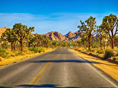 Audio-Guided Driving of the Joshua Tree National Park