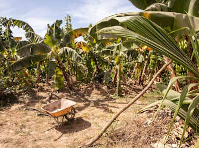 Full Day Tour at a Sustainable Farm from Saly with Lunch