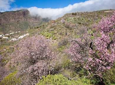 Authentic Majorca Winter Tour