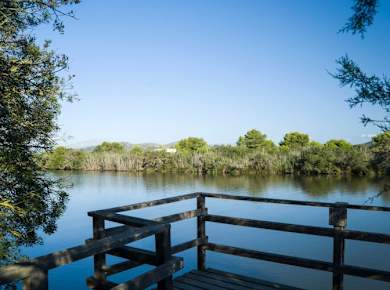 Albufera, Alcudia, and Bodega Butxet sunset tour