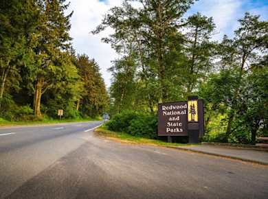 Audiogeführte Autotour zu den Redwood National & State Parks