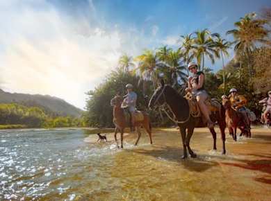 Banderas Bay Meeressafari und Reitticket