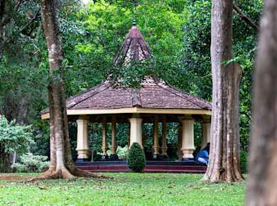 Kandy and Nuwara Eliya Two-day Tour with Train Ride