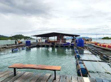 Phuket Fischerei-Tour mit Kajakfahren und Meeresfrüchte-Mittagessen