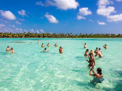Saona Island Highlights Tour by Boat with Buffet Lunch