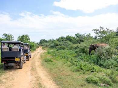Safari durch den Udawalawe-Nationalpark, zweitägige Tour durch Ella und Nuwara Eliya