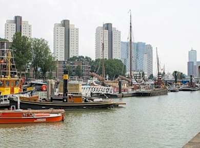 Selbstgeführter Stadtrundgang durch das moderne Rotterdam mit Audio-App