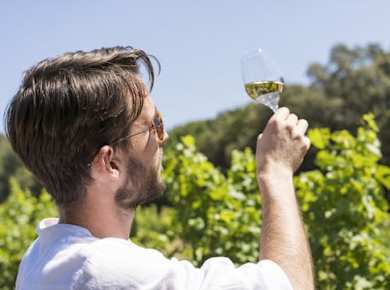 Morgendliche Weintour von Avignon nach Chateauneuf du Pape