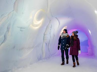 Arctic SnowHotel-Führung mit Abendessen