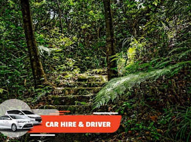 Ganztägiger Mietwagen mit Fahrer vom Zentrum von Hoi An nach Bach Ma