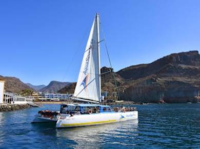 Combo catamaran sailing and off-road buggy tour
