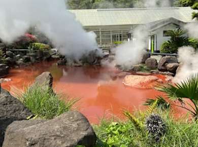 Fukuoka Nyoirinji Temple, Beppu Hells and Yufuin Guided Tour