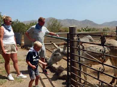 Half-day buggy tour from Caleta de Fuste in Fuerteventura