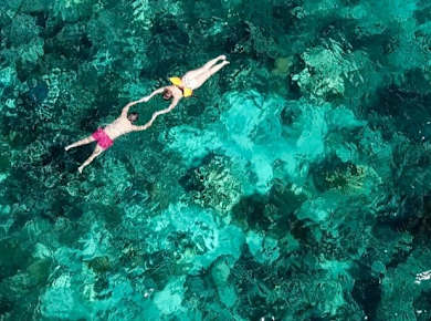 Catalina Island boat tour with snorkelling and Dominican lunch