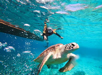 Schnorcheltour ab Gili Trawangan