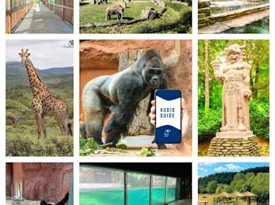Self-guided online audio tour of Prague Zoo