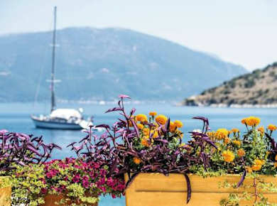 Ein Abend in Argostoli mit Weinverkostung