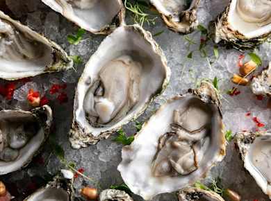 Austern-Happy-Hour mit Sekt und Live-Musik in London
