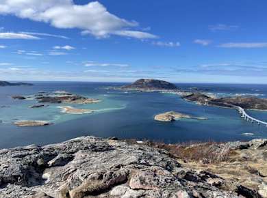 Tromsø fjords and wildlife tour in a minibus