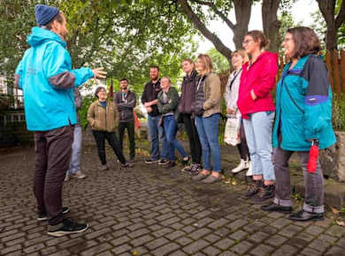 Privater Rundgang durch Reykjavik mit Mittagessen
