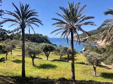 Kajaktour zur Insel Dragonera auf Mallorca mit Keida
