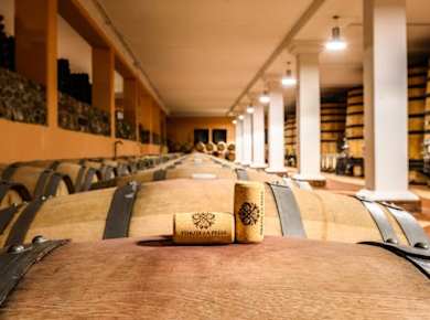Weintour mit Verkostung in den Garda Hills
