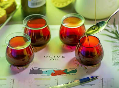 Geführte Verkostung von nativem Olivenöl extra auf einem Weingut