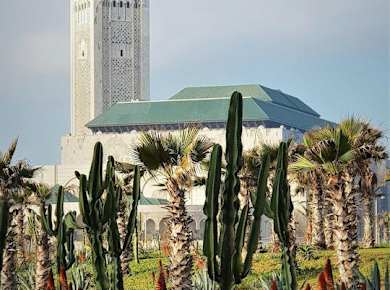 Ab Marrakesch: Tagesausflug nach Casablanca