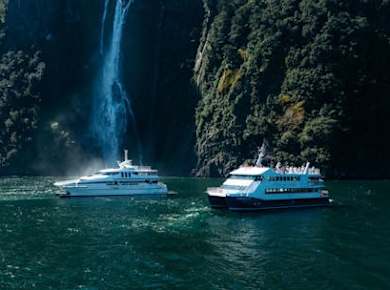 Milford Sound cruise experience