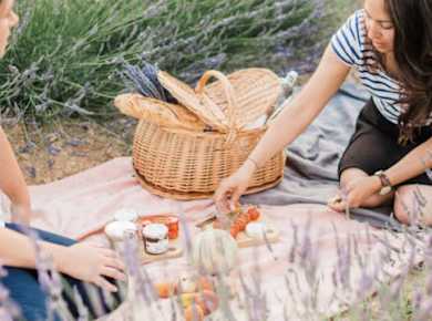 Snack-Erlebnis in Lavendelfeldern in Aix-en-Provence