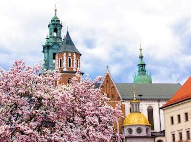 1-stündige Tour durch Krakau mit einem Einheimischen