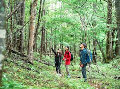 Halbtägige malerische Fahrt zum Fuji