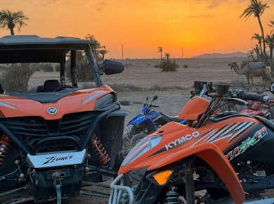 Marrakech 2-hour quad bike ride in the palm grove