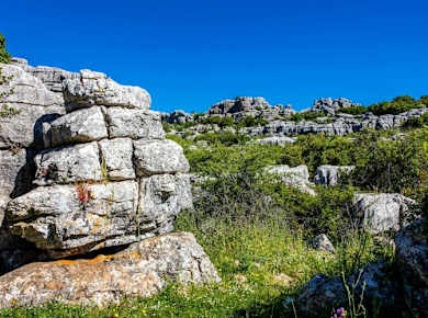 Andalusia tour with El Torcal, Antequera and lunch