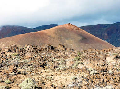 Teide National Park Tour with Expert Local Guide