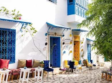 Ancient Carthage and Sidi Bou Said tour with lunch