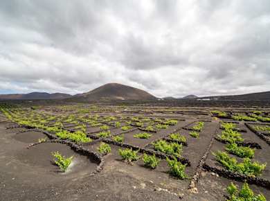 Three-hour 4x4 buggy tour in Lanzarote