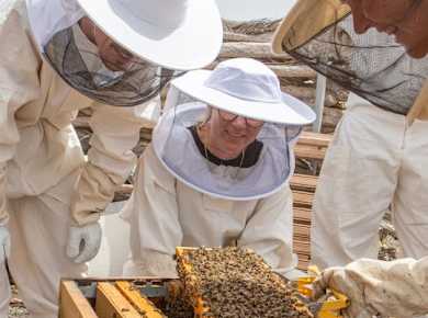 Beekeeping tour with honey tasting in Lanzarote
