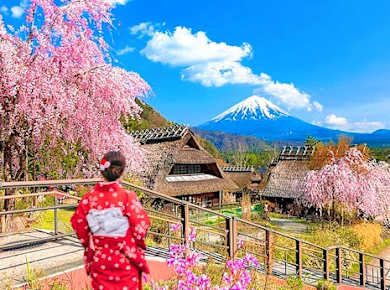 Ganztägige Tour ab Tokio zu den 4 wichtigsten Attraktionen des Fuji