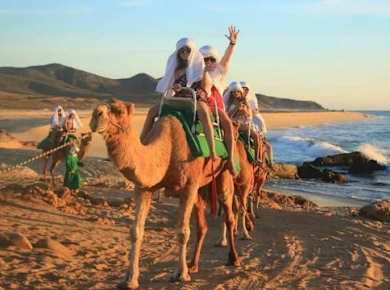 Kochkurs und Kamelritt mit Mittagessen ab Agadir