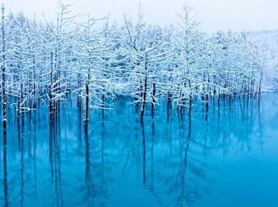 Tagestour zum Hokkaido Asahiyama Zoo, zum Blauen Teich und zur Ningle-Terrasse