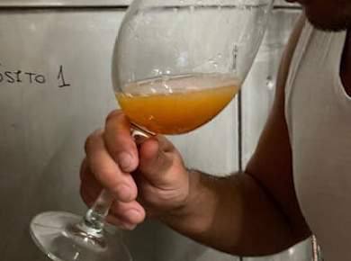 Half-day guided tour and wine tasting at Bodegas Campestral in Arcos