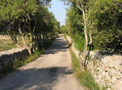 Menorca's fishing villages E-bike tour