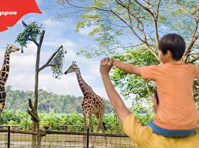 Eintrittskarte für den Zoo von Singapur inklusive Straßenbahn
