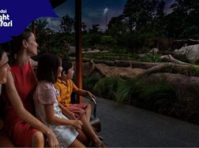 Eintrittskarte für den Singapore Night Safari Park inklusive Straßenbahnfahrt