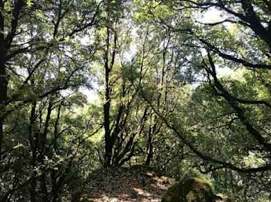 Private group guided trekking in Pantelleria