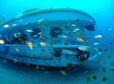 Submarine Safari