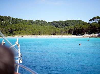 Amigos boat trips