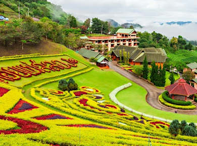 Doi Tung Royal Villa mit heiligem Tempel und Gärten Privattransfer